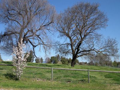 38 Hillandale Court, Bonegilla