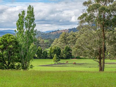 52 Reids Road , Cradoc