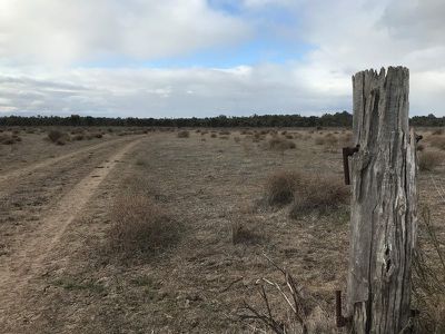Riverside Homestead Colenso Park Road, Barham