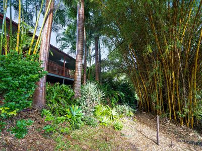 309 Diddillibah Road, Diddillibah