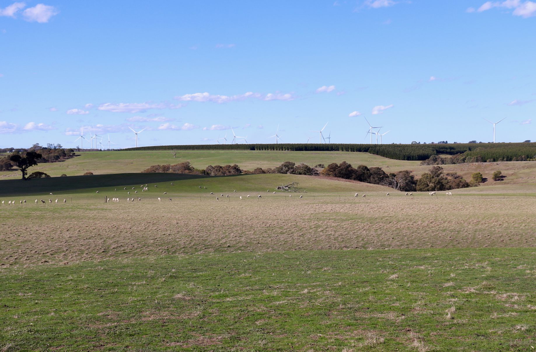 Lot 13, 13A, 13B, 31A &, 31C BRIDGE ROAD, Grenville