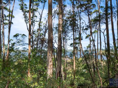 10 Payne Road, Denmark