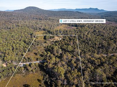 Lot 1, Lyell Highway, Derwent Bridge