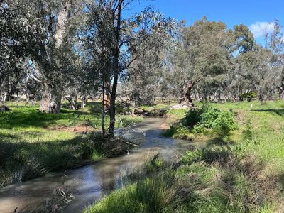 86 Hunts Crossing Road, Parkes