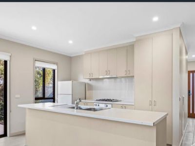 53 Daly Drive, Lucas