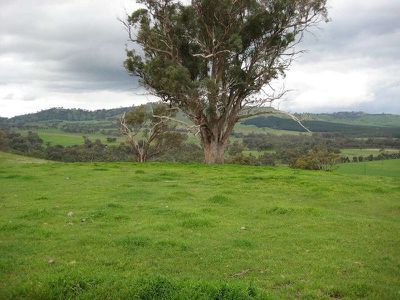 75 Lambing Gully Rd, Whiteheads Creek