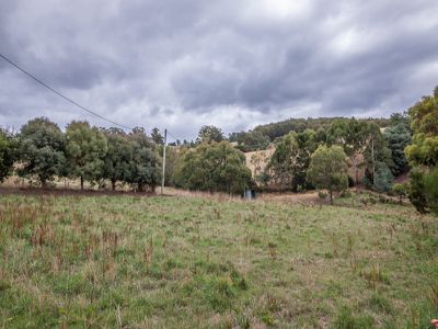 50 Wallace Road, Cygnet