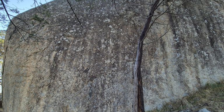 122 Delatite County, Gooram