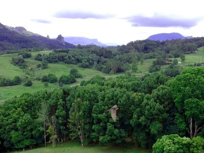 2012 Nimbin Road, Coffee Camp