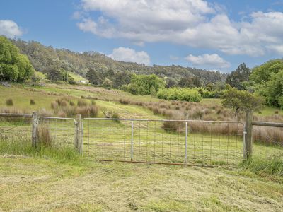 17 Reeves Lane, Dover