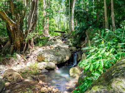 771 Left Bank Road, Mullumbimby Creek