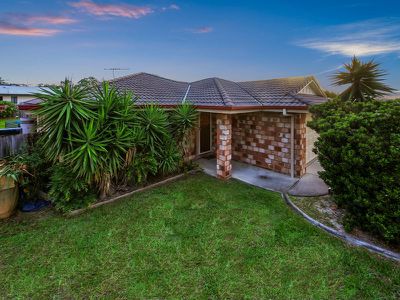 13 Pine Grove Drive, Crestmead