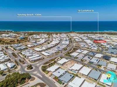16 Cuttlefish Street, Yanchep