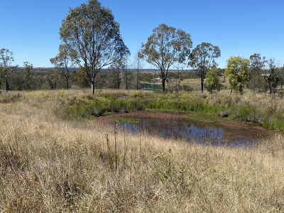 983 Ellesmeres Road (Ellesmere), Kingaroy