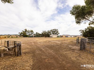 1305 Mooree-Culla Road, Culla