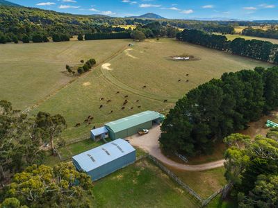 255 KERRIE ROAD, Kerrie