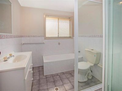 3 / 10 Platypus  Cl, Figtree
