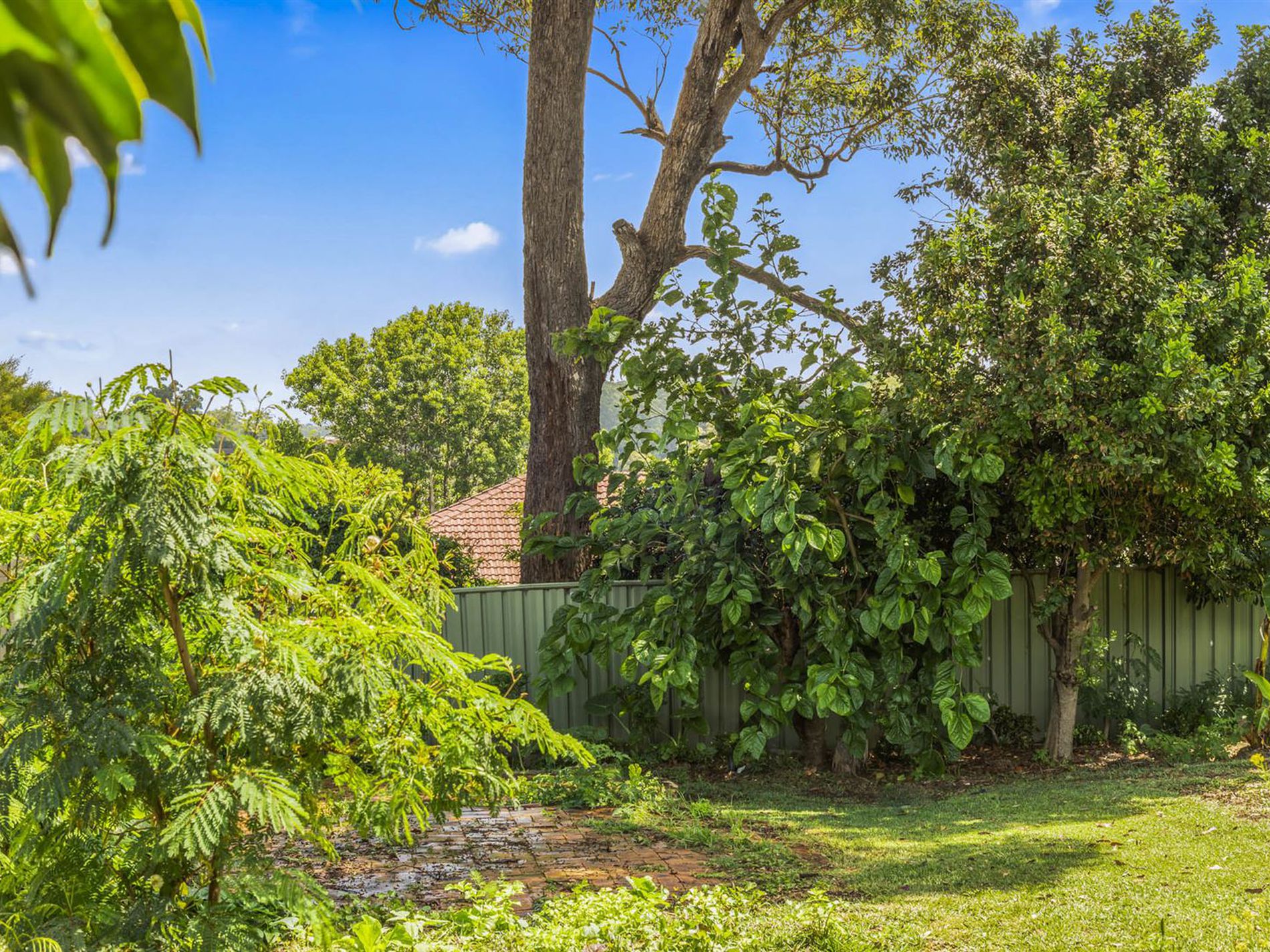 31 Hilltop Crescent, Mollymook Beach