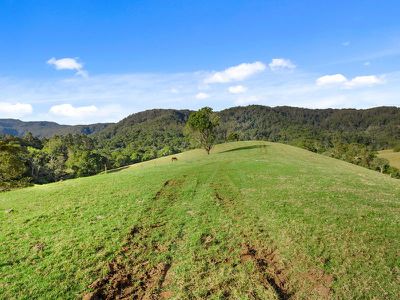 1242 Tuntable Creek Road, Nimbin