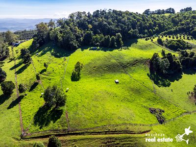 933 Innes View Road, Innes View