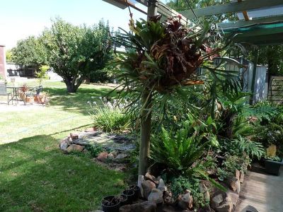 23 Wilmoth Avenue, Horsham