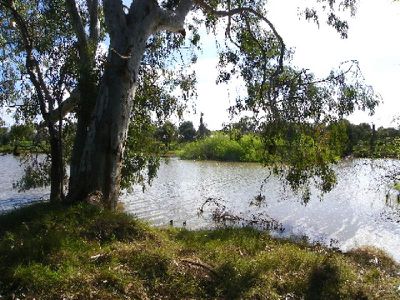 Gunbower
