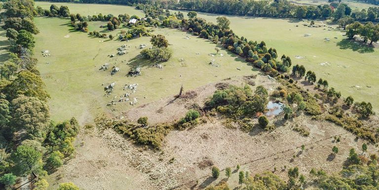 95 Watkins Road Creek Junction, Strathbogie