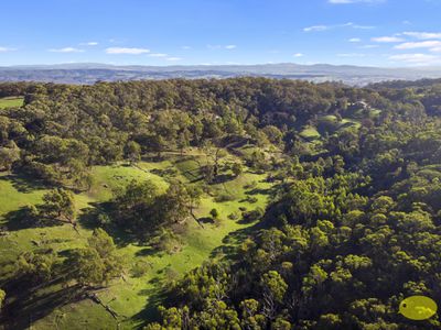 460 DOCTORS CREEK ROAD, Clonbinane