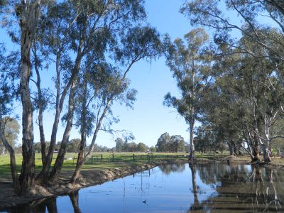 143 Cassidy Lane, Koondrook