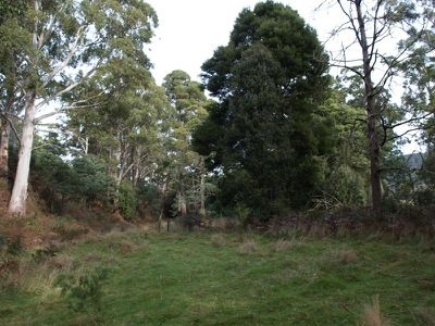 263 Woolleys Road, Lonnavale
