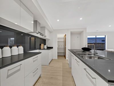 11 Chrysalis Crescent, Clyde