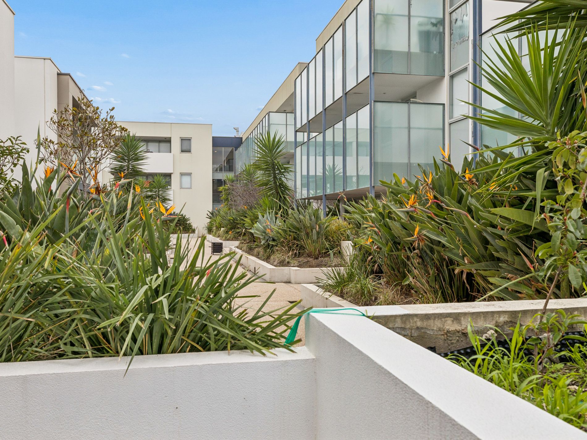 12 / 50 Eucalyptus Drive, Maidstone