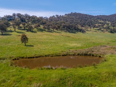 Lot 1 Sec 19 Murray Valley Highway, Bullioh