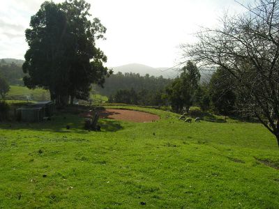 38 Seventh Day Road, Glen Huon