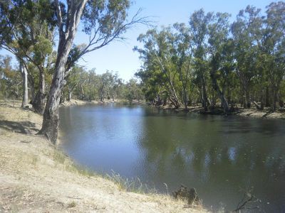 Lot 251 Balpool Road, Moulamein