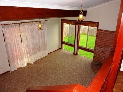 Mount Warrigal