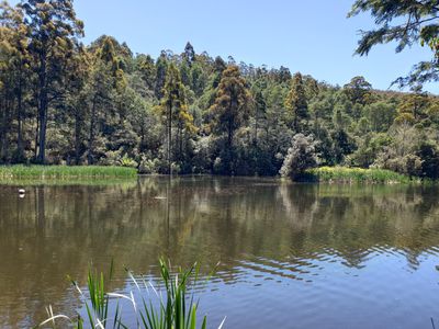 Lot 1 (99 Acres), Coal Mine Road, Kaoota