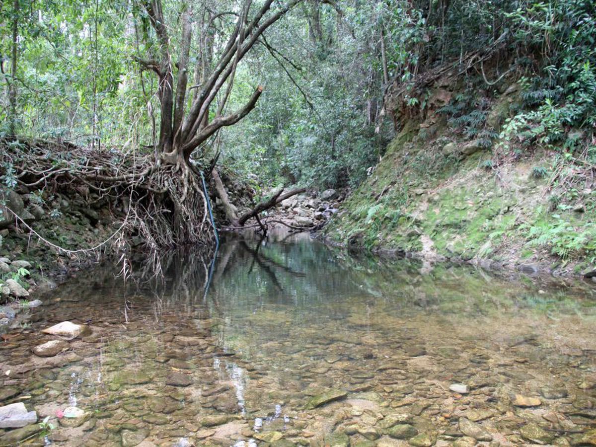 Atherton