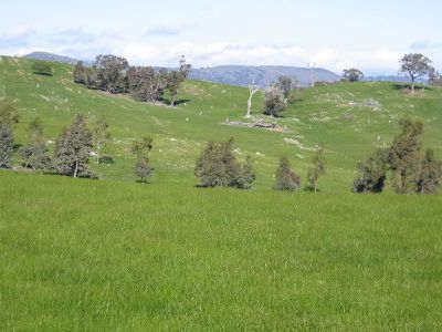 LOT 2 HARDINGS LANE, Heathcote