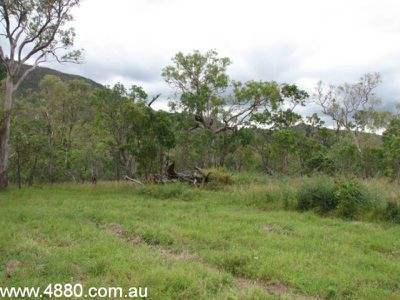 41 Lemontree Drive, Mutchilba