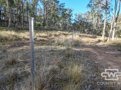 13 Bluff River Road, Tenterfield