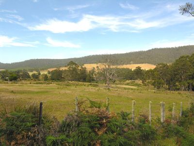 Eld Road, Lonnavale