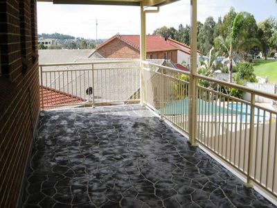 Blackbutt