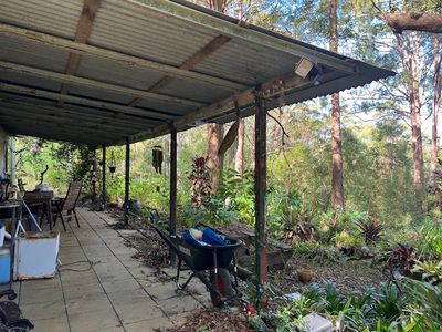 489 Davis Road, Jiggi