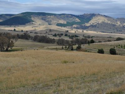 865 Spring Creek Road, Tallangatta Valley