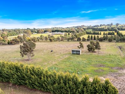 18 Alice Way, Eden Park