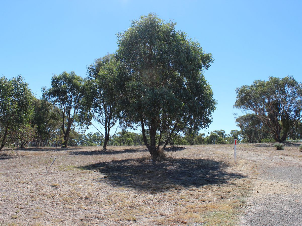 Lot 38, Lakeside Drive, Chesney Vale