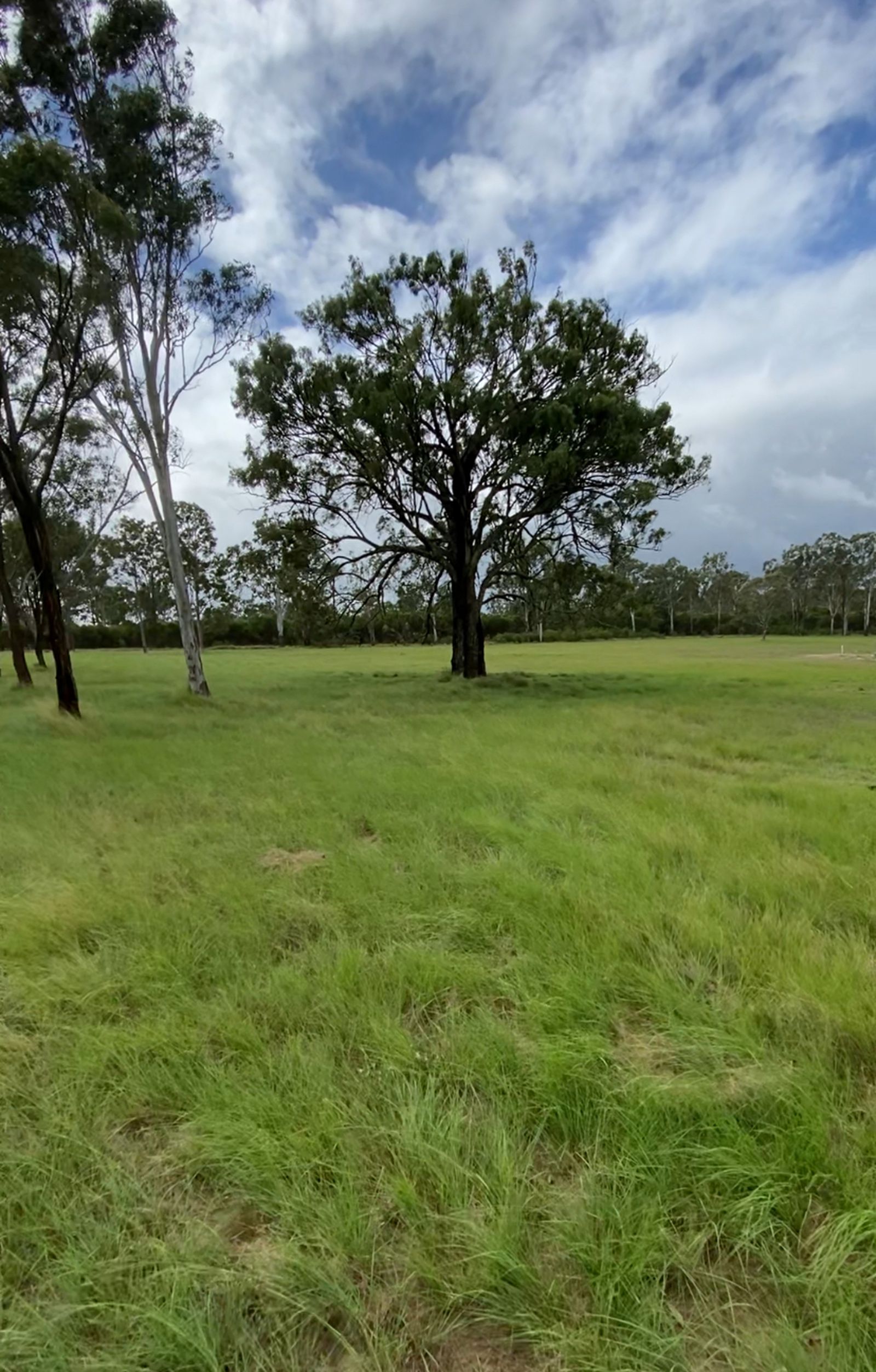 Photo 6 of 8, 1-75 / Oliver Road, Nanango