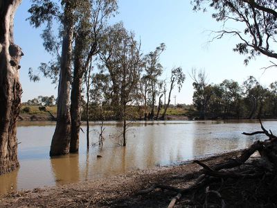 Lot 15 Edward River Road, Moulamein