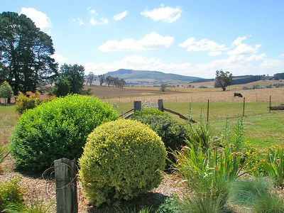 668 Barry Road, Neville